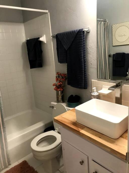 Cheerful 3 Bedroom 2Ba Home In Great Neighborhood! Jacksonville Esterno foto